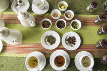 Tea plantation walk and tea tasting in Munnar- Tea plantation walk and tea tasting in Munnar-